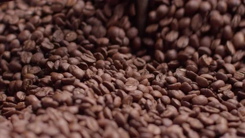 Roasted Coffee Beans at the Cooler Part of the Roasting Machine Stock Footage 199473319
