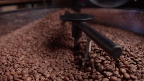 Roasted Coffee Beans at the Cooler Part of the Roasting Machine Stock Footage 199473322