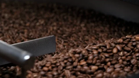 Roasted coffee beans on a cooling tray, being mixed by a rotating mechanical arm Stock Footage 115883473