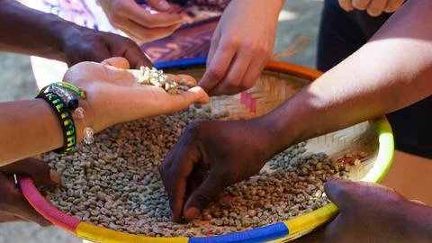 Roasted coffee beans in different brown and black tones with international hands Stock Photos