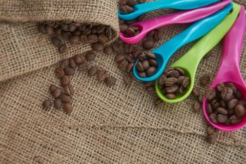 Roasted coffee beans, dose measuring spoons on jute sack Stock Photos