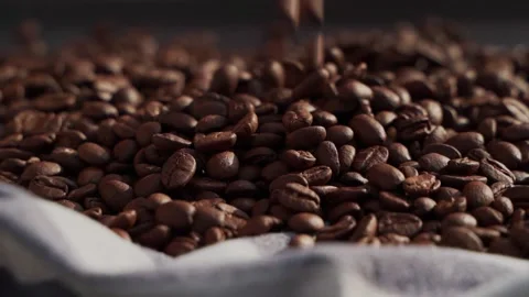 Roasted coffee beans drop falling in bean bag. Stock Footage 159490440