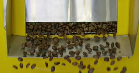 Roasted coffee beans ejected from coffee roasting machine. Video stock 221242806