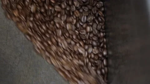 Roasted Coffee Beans Emptying Out Of Bin At Manufacturing Plant Close Up Stock-Footage 143757993