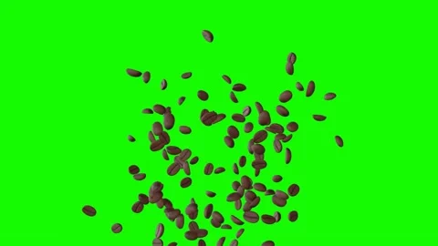 Roasted coffee beans exploding upwards on green screen background Stock Footage 331766273