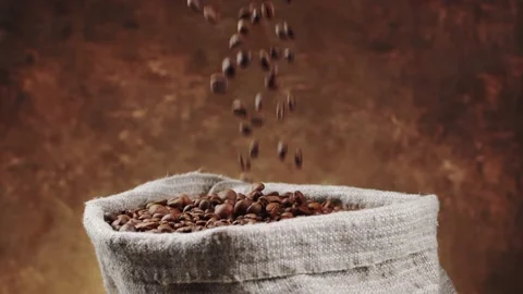 Roasted coffee beans fall into burlap sack, slow motion. Stock Footage 146921722