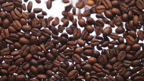 Roasted coffee beans fall to camera view. Stock Footage 156201519