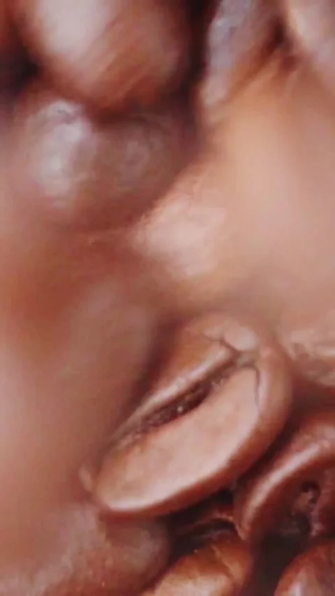 Roasted coffee beans fall into frame creating dynamic culinary texture in Stock Footage 347271928