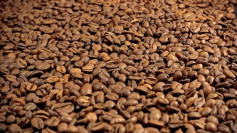 The roasted coffee beans fall on the table. Slow motion video. Preparation of mo Stock Footage 95072310