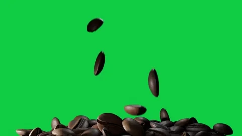 Roasted coffee beans falling from above, causing pile shifting and settling on Stock Footage 337506412