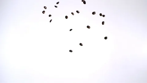 Roasted coffee beans falling against white background in slow motion 스톡 동영상 81231455
