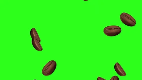 Roasted Coffee Beans Falling and Bouncing on Green Screen Background Видео 343836178