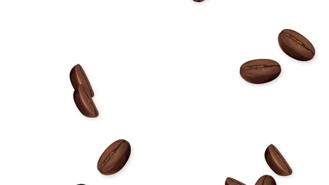 Roasted Coffee Beans Falling and Bouncing on White Background Видео 344231118