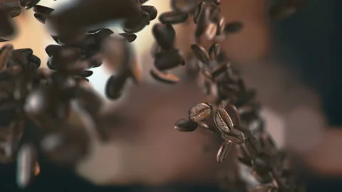 Roasted coffee beans falling down Vídeos de archivo 123609946