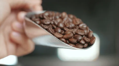 Roasted coffee beans falling down from metal scoop Stock Footage 153506603