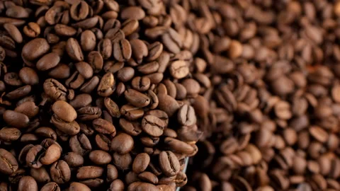 Roasted coffee beans falling down, top view Stock Footage 300183203