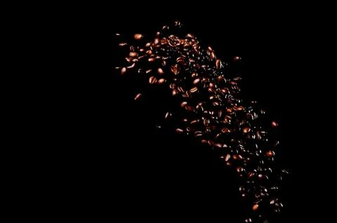 Roasted coffee beans falling down. Stock Photos