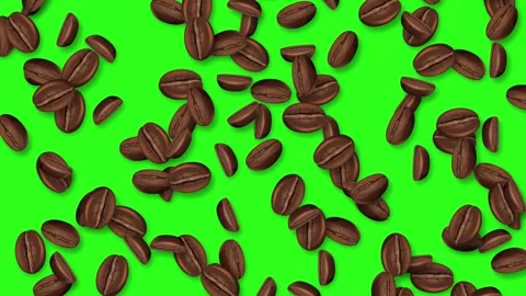 Roasted Coffee Beans Falling Downwards on a Green Screen Background Stock Footage 344717901