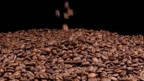 Roasted Coffee Beans Falling. Stock Footage 166028743