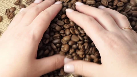 Roasted Coffee Beans falling. Fragrant coffee beans are roasted Slow motion Stock Footage 195447041