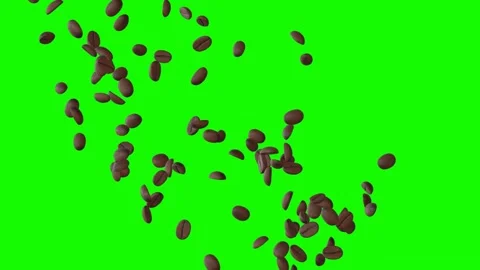 Roasted coffee beans falling on green screen background animation Stock Footage 331766315