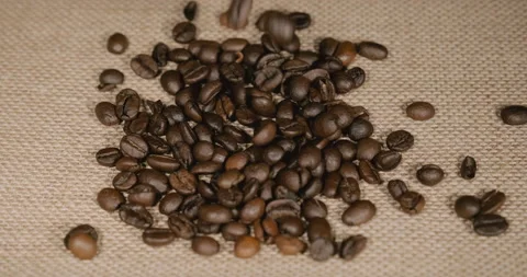 Roasted coffee beans falling on a jute covered table Stock Footage 231572852