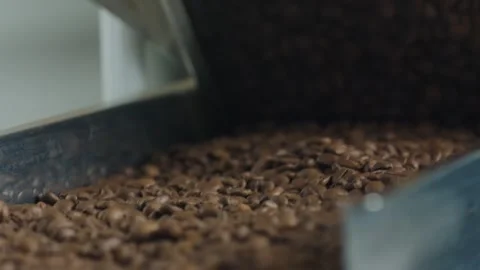 Roasted coffee beans falling on metal tray in coffee roasting processing plant Stock Footage 311315843