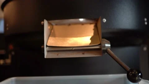 Roasted coffee beans falling out Video stock 180905589