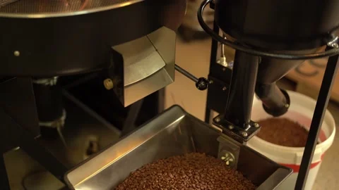 Roasted coffee beans falling out of cooling plate from roasting machine Stock Footage 234628296