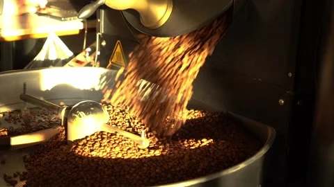 Roasted coffee beans falling out of roasting machine Stock Footage 234631679