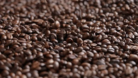 Roasted Coffee beans falling into Pile of coffee beans. Video stock 177539333