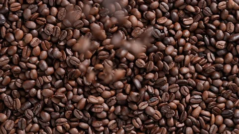 Roasted Coffee beans falling into Pile of coffee beans. Video stock 177546919