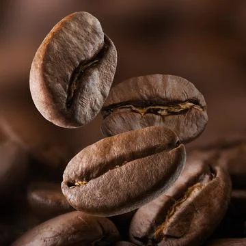 Roasted coffee beans falling on pile. Dark colors Stock Photos
