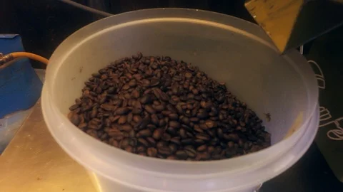 Roasted Coffee Beans Falling Into A Pot Stock Footage 88449536