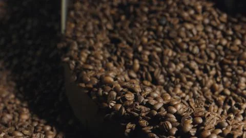 Roasted coffee beans falling from scoop in coffee production process Foto stock