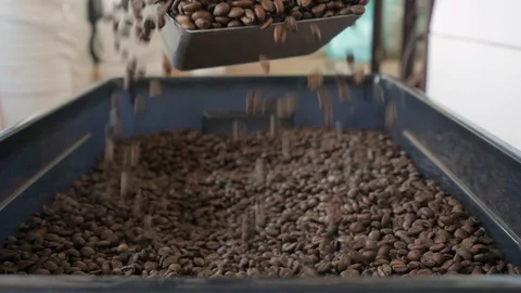 Roasted Coffee Beans Falling From A Shovel. Видео 100881942