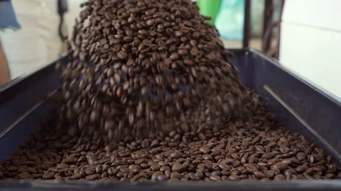 Roasted Coffee Beans Falling From Shovel. Slow motion. Stock Footage 101342454