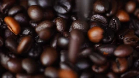 Roasted coffee beans falling in slow motion Stock Footage 277678658