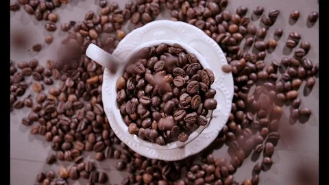 Roasted coffee beans falls down in cup. Top view. Coffee grains falling. Stock Footage 120556894