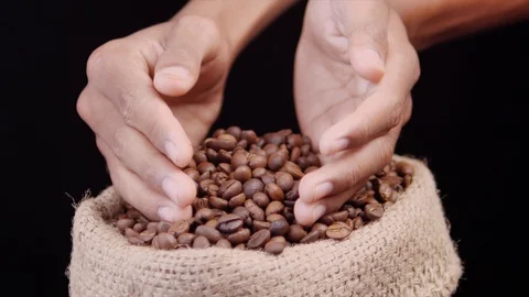 Roasted coffee beans falls down from hands Video stock 122057369