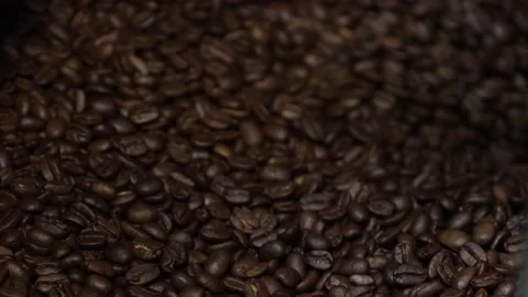 Roasted Coffee Beans Fill Up Bin And Empty Into Another At Factory Stock-Footage 143758568