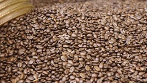 Roasted Coffee Beans Filling Up Bin From Tube At Factory Close Up Stock-Footage 143759336