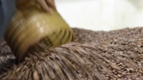 Roasted Coffee Beans Filling Up Bin From Tube At Manufacturing Plant Vídeo Stock 143759569