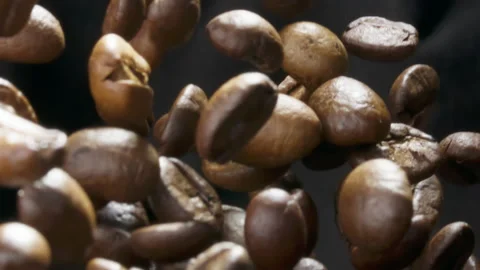 Roasted coffee beans floating upward before falling back Stock Footage 316071478