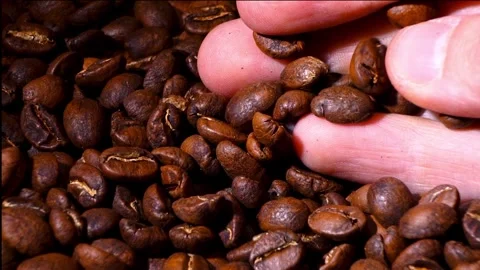 Roasted Coffee Beans Flying Up Into Hands Reverse Motion Stock Footage 323398046