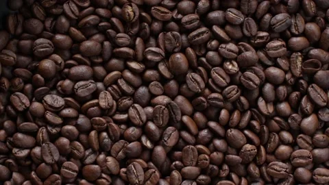 Roasted coffee beans Stock Footage 115637732