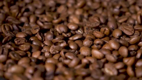 Roasted coffee beans Stock Footage 148829775