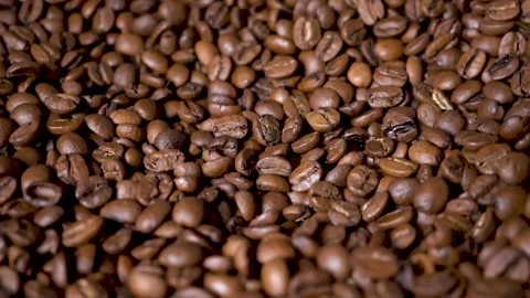 Roasted coffee beans Stock Footage 148829778