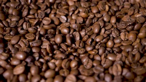 Roasted coffee beans Stock Footage 148829817