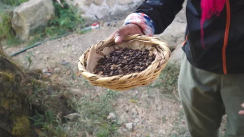 Roasted coffee beans Stock Footage 162909571